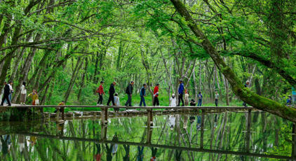 安徽黃山:春風(fēng)又綠西溪南