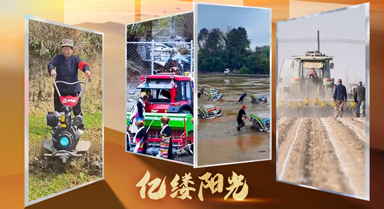 億縷陽光·鄉(xiāng)見︱田頭科技范兒